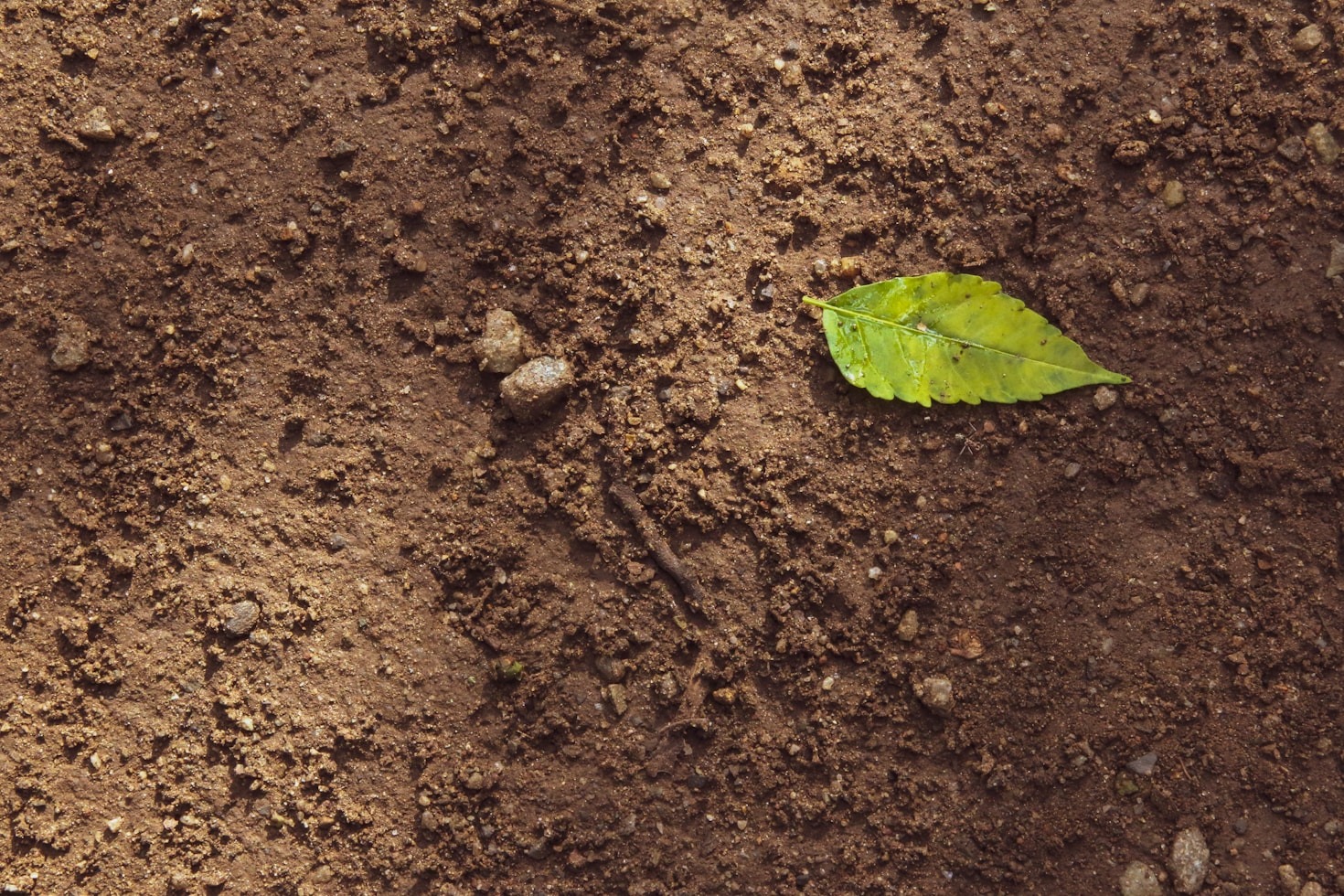 Como impulsionar sua produção com AgroFertil Brasil
